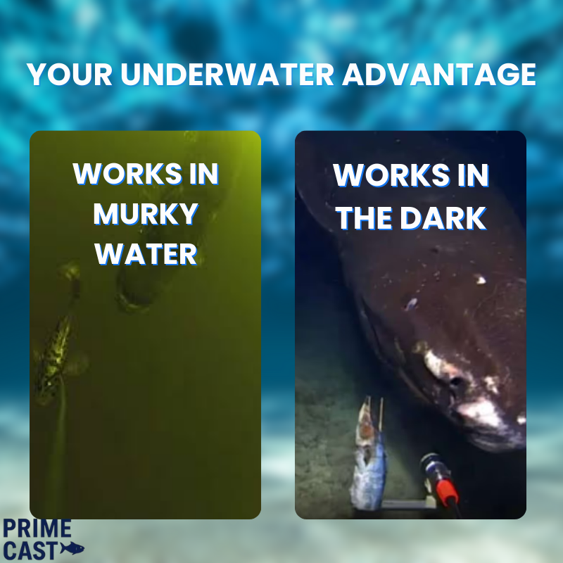 Prime Cast™ Underwater Fishing Camera